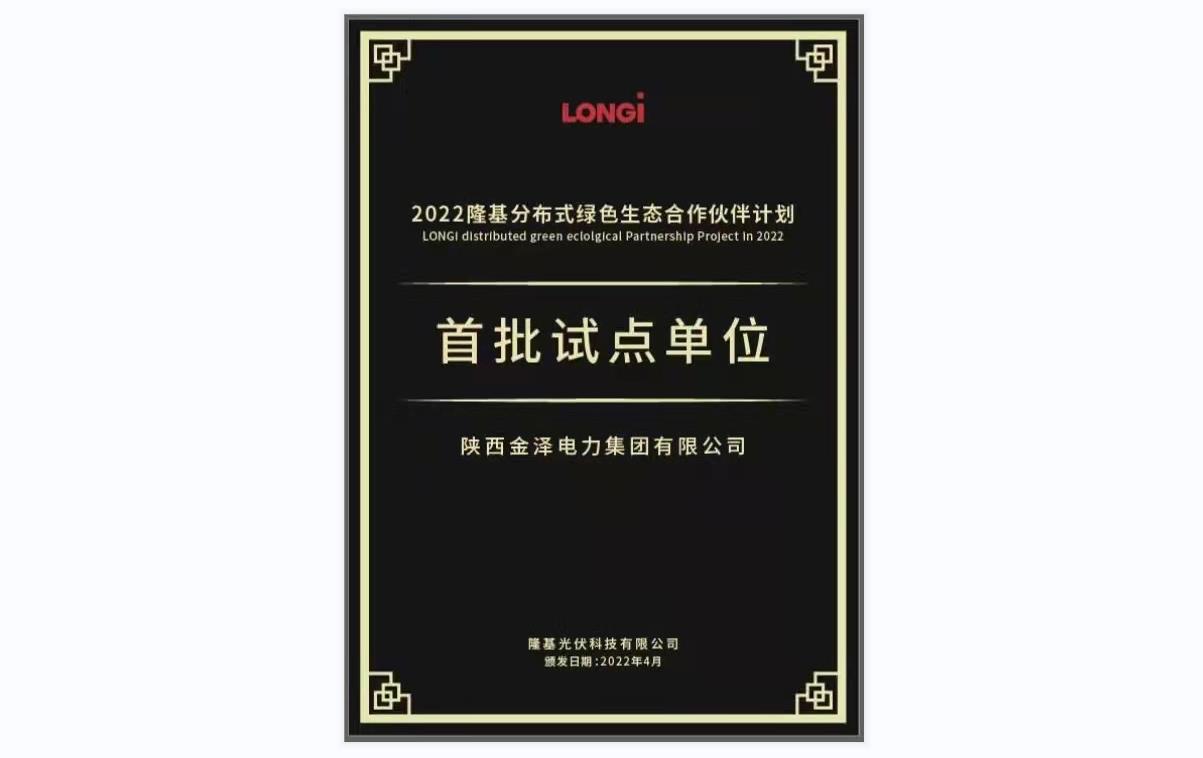 隆基-首批試點單位