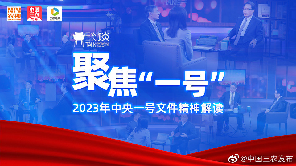 2023中央一號(hào)文件定調(diào)：鞏固農(nóng)村電網(wǎng)，發(fā)展光伏等可再生能源！