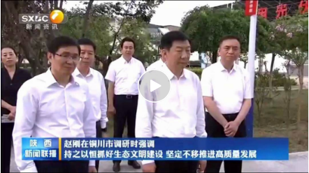 趙剛省長(zhǎng)調(diào)研銅川市克坊村「隆基向日葵」戶用光伏項(xiàng)目